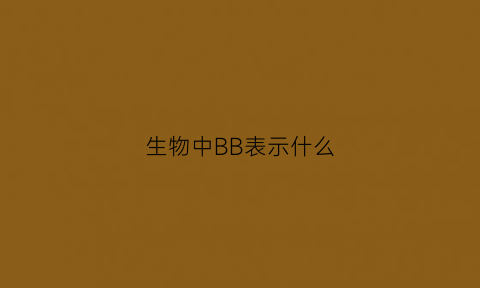 生物中BB表示什么