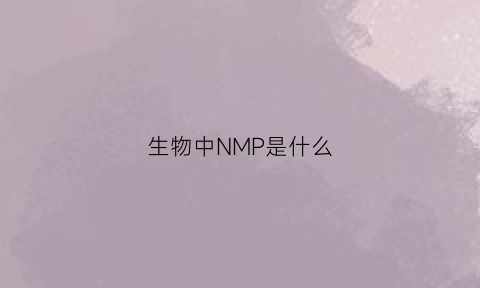 生物中NMP是什么(nmp在生物化学是什么意思)