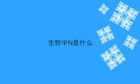 生物中N是什么