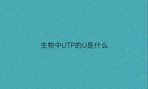 生物中UTP的U是什么