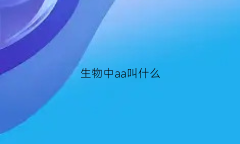 生物中aa叫什么