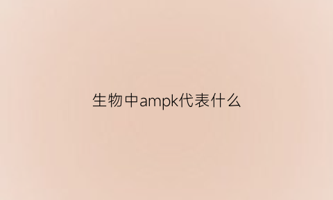 生物中ampk代表什么