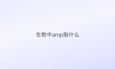 生物中amp指什么