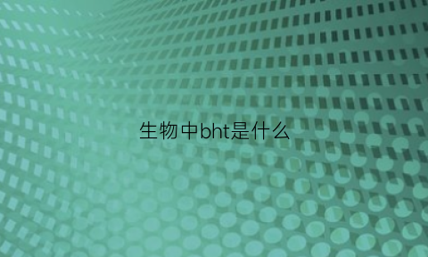 生物中bht是什么