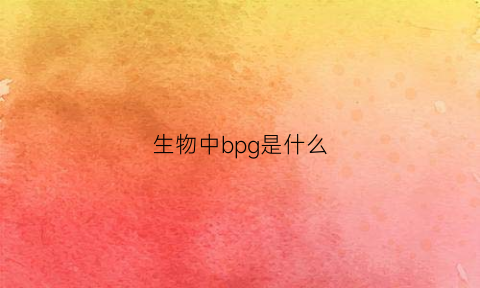 生物中bpg是什么(生物里bp是什么意思)