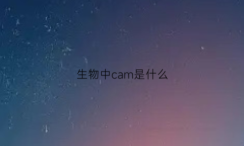 生物中cam是什么