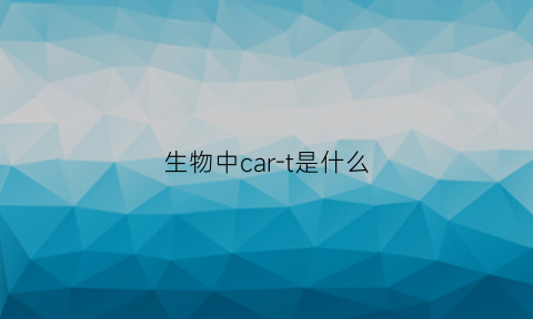 生物中car-t是什么