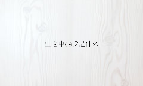 生物中cat2是什么