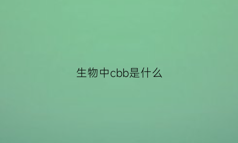 生物中cbb是什么