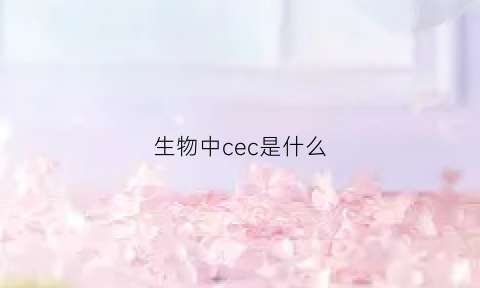 生物中cec是什么(生物中chs是什么意思)