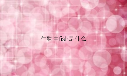 生物中fish是什么(fish是干什么的)