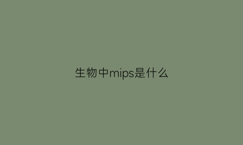 生物中mips是什么