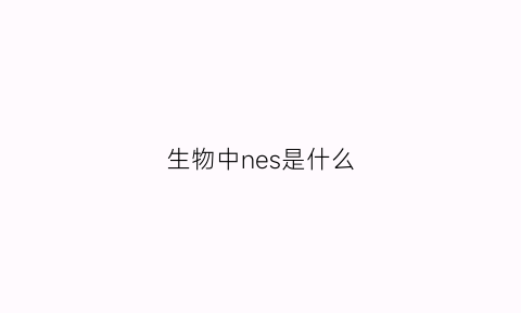 生物中nes是什么