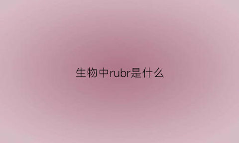 生物中rubr是什么(生物rd什么意思)