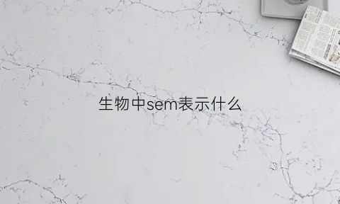 生物中sem表示什么(生物中sem表示什么意思啊)