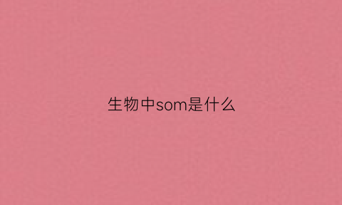 生物中som是什么(生物中s是什么意思)