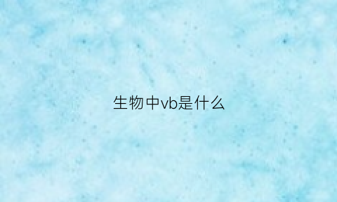 生物中vb是什么