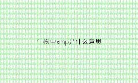 生物中xmp是什么意思(生物中的x是什么意思)