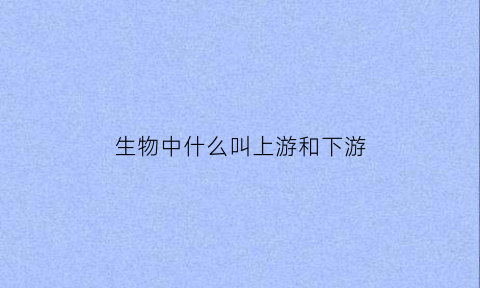 生物中什么叫上游和下游(生物中什么叫上游和下游)