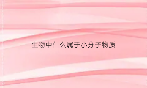 生物中什么属于小分子物质