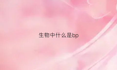 生物中什么是bp