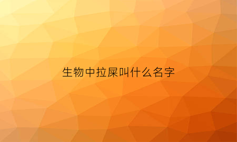 生物中拉屎叫什么名字(如何用生物术语说拉屎)