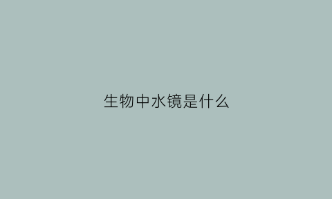 生物中水镜是什么(水镜的使用方法)