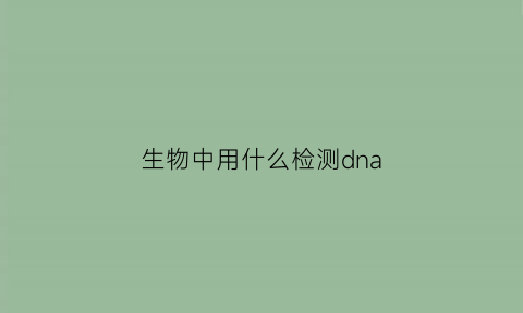 生物中用什么检测dna