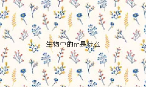 生物中的m是什么(生物中n表示什么)