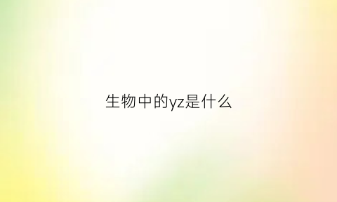 生物中的yz是什么