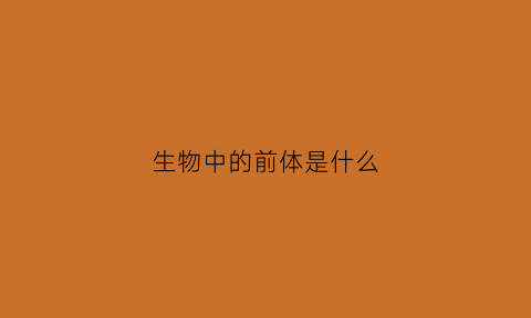 生物中的前体是什么(生物中的前体是什么意思)