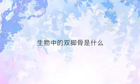生物中的双脚骨是什么(双脚骨骼图)