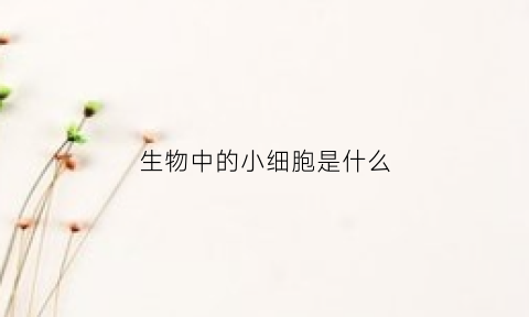 生物中的小细胞是什么(生物里的细胞)