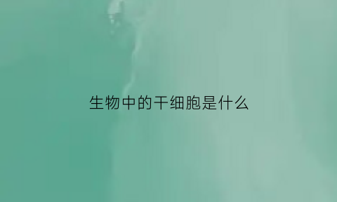 生物中的干细胞是什么(何为干细胞有何生物学特性)