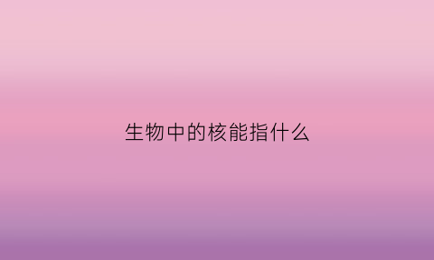 生物中的核能指什么(生物能核心有什么用)