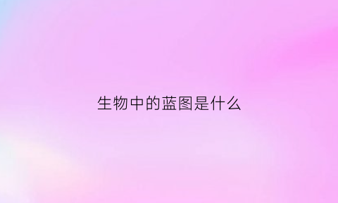 生物中的蓝图是什么(生物中的蓝图是什么样的)