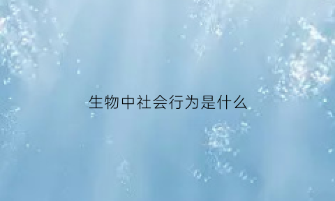 生物中社会行为是什么