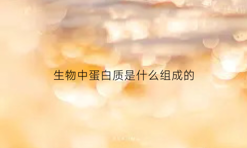 生物中蛋白质是什么组成的