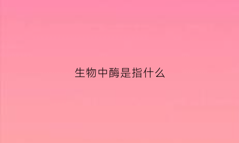 生物中酶是指什么