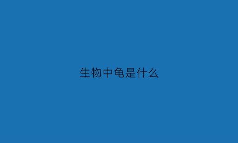 生物中龟是什么(龟是什么科动物)