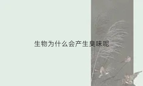 生物为什么会产生臭味呢(为什么生物会产生多种多样的器官)