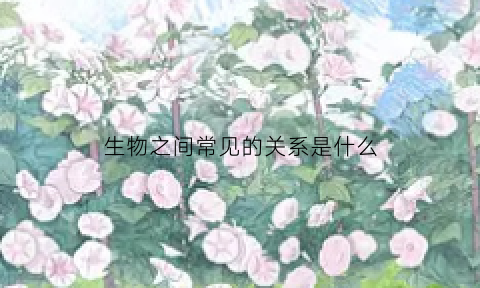 生物之间常见的关系是什么(生物之间常见的关系有什么)