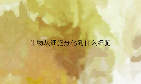 生物从细胞分化到什么细胞(生物从细胞分化到什么细胞最多)
