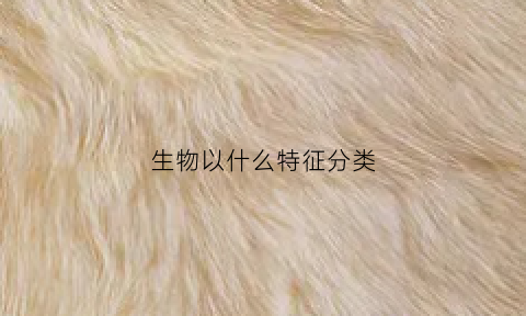 生物以什么特征分类