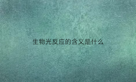 生物光反应的含义是什么(高中生物光反应)