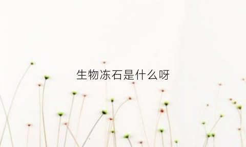 生物冻石是什么呀(冻石是什么石)