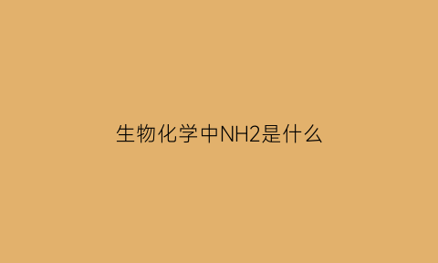 生物化学中NH2是什么