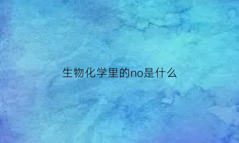 生物化学里的no是什么