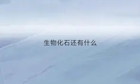 生物化石还有什么(生物化石还有什么生物)