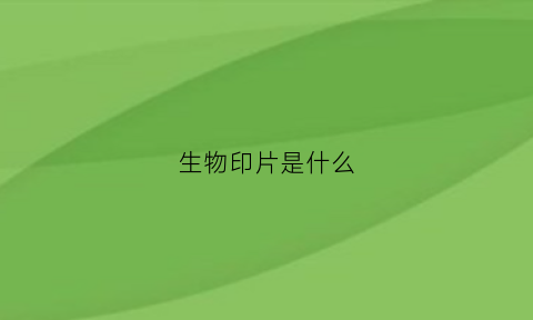 生物印片是什么(生物印刷与传统印刷的差异与相同点)